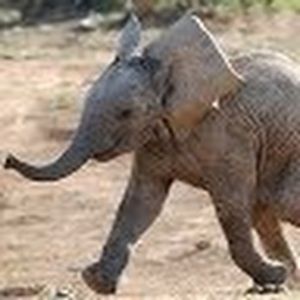 Meet your Posher, Alaina